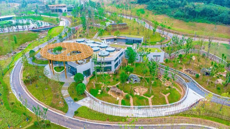 綿陽新地標！綿陽中華大熊貓苑12月29日起面向公眾試運營